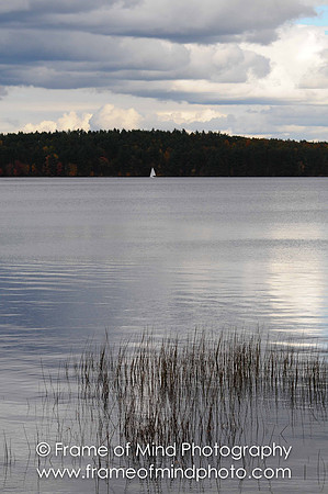 NH Images-1788