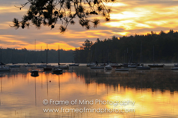 NH Images-1118