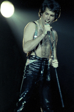 freddie