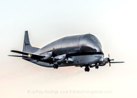 Super Guppy MHT-0693_