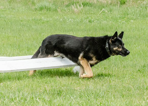 Full ResMPD K9-5555_