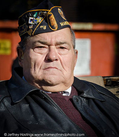 Veterans Day 2014-83892088