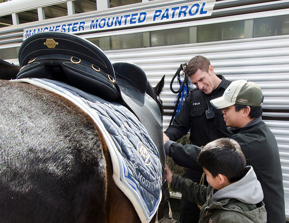 Mounted - --12