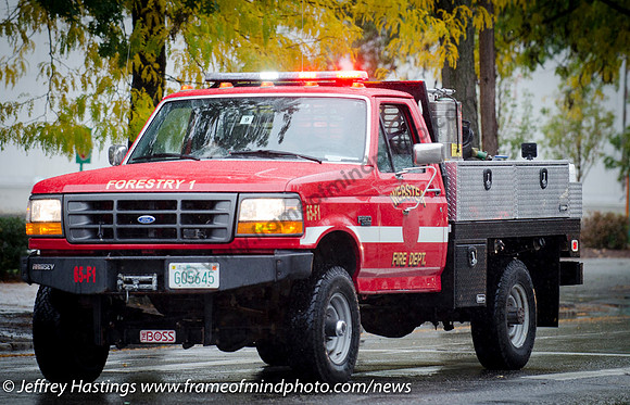 MFD Fire Parade 2016-7427