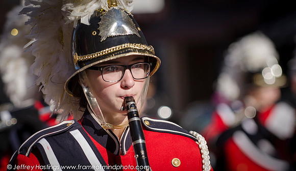 Veterans Day 2014-87442088