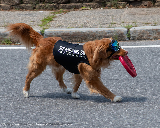 FOM 2025-6784