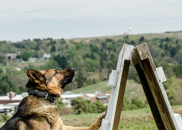 Full ResMPD K9-5634_