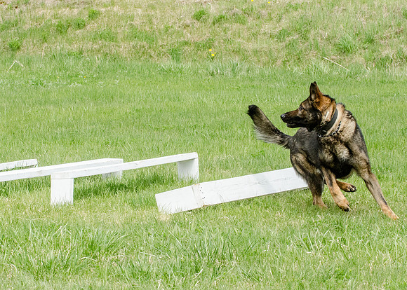 Full ResMPD K9-5612_