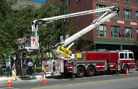 MFD Bear--2-2