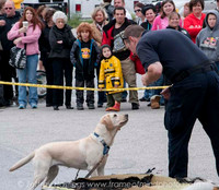 MFD Muster-6