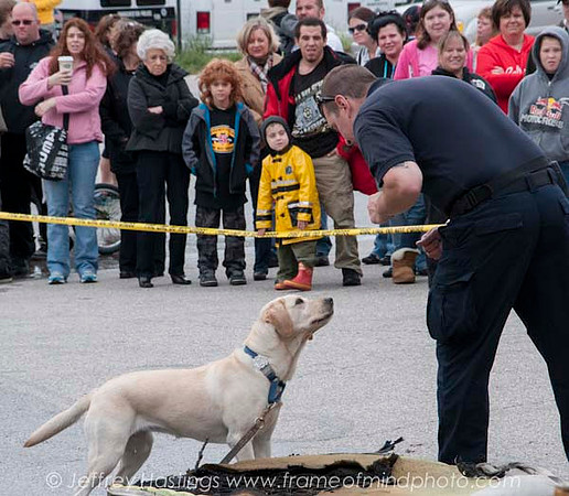 MFD Muster-6