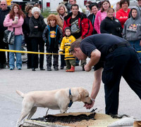 MFD Muster-7