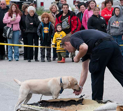 MFD Muster-7