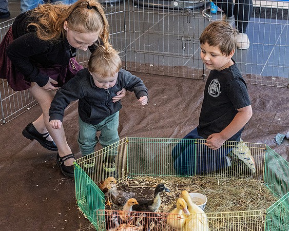 FOM 2025-6654