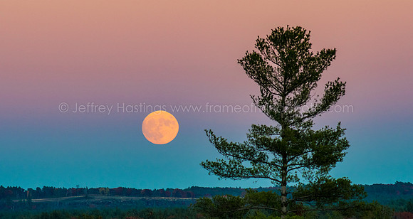 Super Moon-3981
