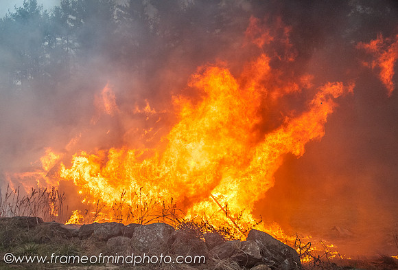 Auburn Fire-5436