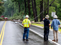 FOM 2022-3572