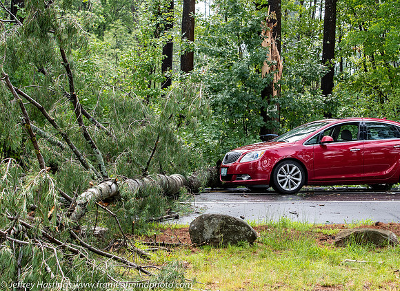 FOM 2022-3643