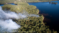 AFD Browns Island Brush Fire-00033