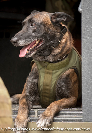 NHSP SWAT Candia North Rd-1455