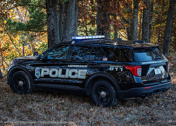 FOM 2025-2733