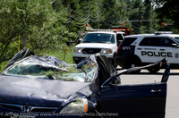 MFR ACC Tree Vs Car-2388