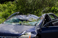 MEPD & MFR Tree Falls On Driver
