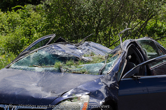 MFR ACC Tree Vs Car-2383