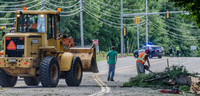 MFR ACC Tree Vs Car-2429