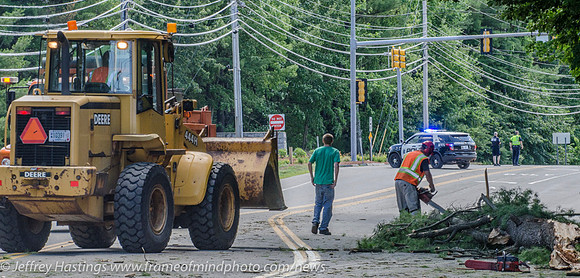 MFR ACC Tree Vs Car-2429