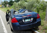 MFR ACC Tree Vs Car-7190574