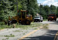 MFR ACC Tree Vs Car-7190604