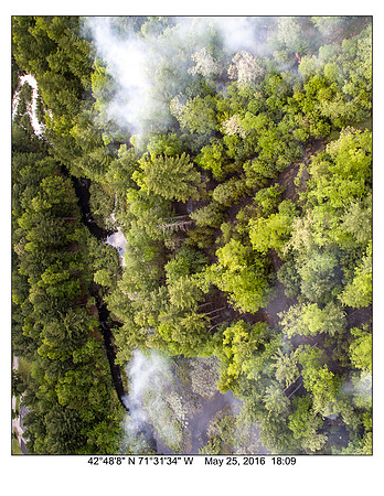 MFR Brush Fire 05-25-16-16