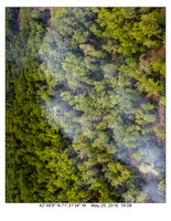 MFR Brush Fire 05-25-16-10