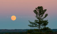 Super Moon 2016-4020