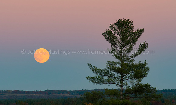 Super Moon 2016-4020