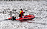 FOM 2019-0443