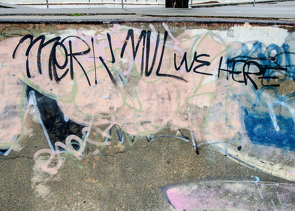 Full Res GraffitiMPD Graffiti-3391_