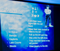 Sm Web Gang -3353_-2
