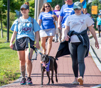 FOM 2023-3047