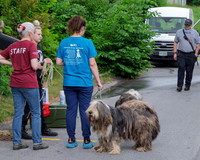 Photos Dundee Animal Rescue 6-11-26