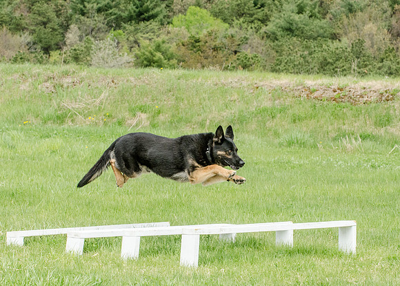 Sm web MPD K9-5553_
