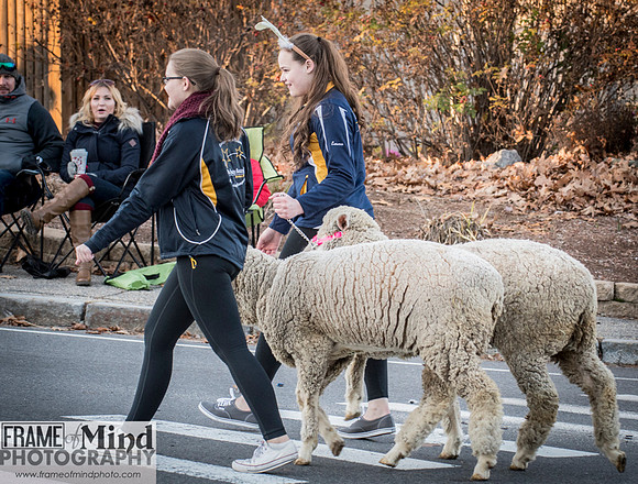Merr Holiday Parade 2016-9391