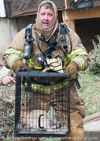 MFD FIre Hall St-50161121