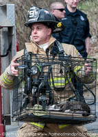 MFD FIre Hall St-50131121