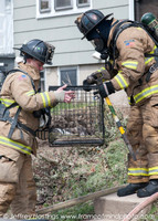 MFD FIre Hall St-50081121