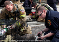 MFD FIre Hall St-13171111