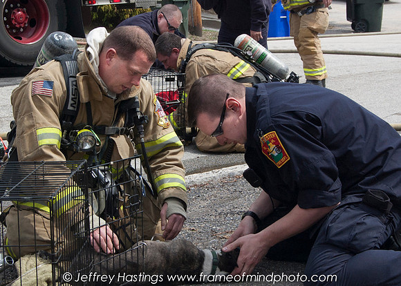 MFD FIre Hall St-13151111