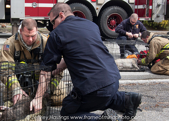 MFD FIre Hall St-13101111