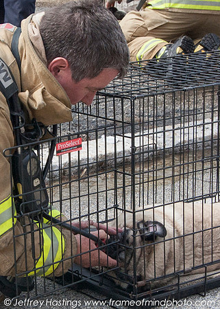 MFD FIre Hall St-13031111